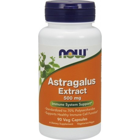 Astragalus Extract 500mg 90 caps